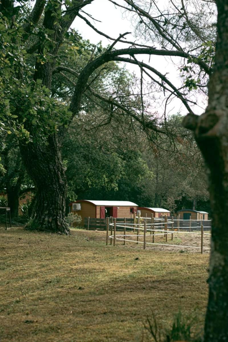 Hotel Roulottes Cocooning Au Coeur Des Landes Mées Exterior foto