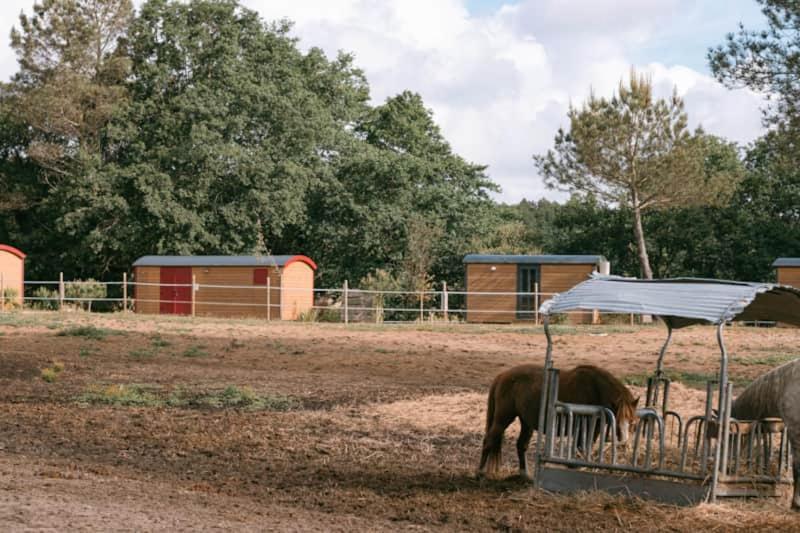 Hotel Roulottes Cocooning Au Coeur Des Landes Mées Exterior foto